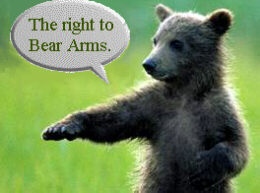 Bear Arms a Right.jpg