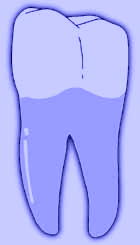 Blue Tooth.jpg