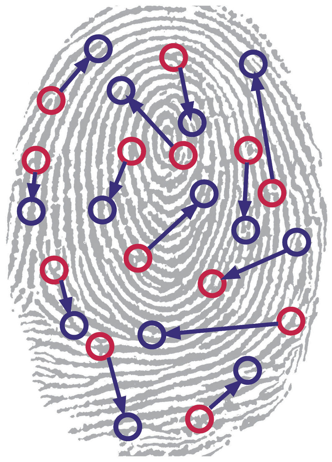 fingerprint.jpg